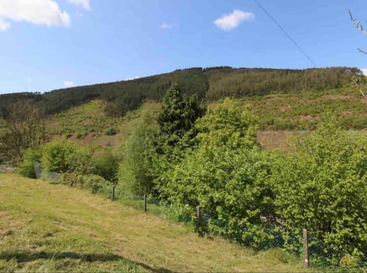 Afan House Villa Pontrhydyfen Екстериор снимка